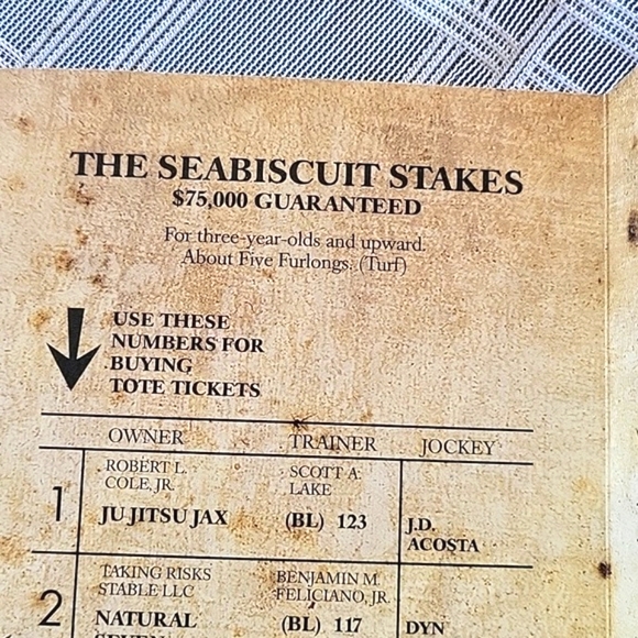 Suffolk Downs Horse Racing Official Stakes Program - July 10, 2010 - Picture 4 of 6